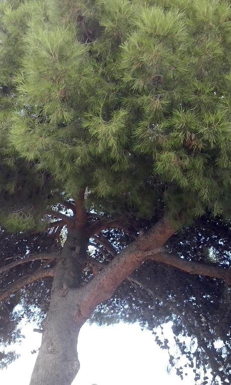 Huerta La Nina Arenas Villa Órgiva Szoba fotó
